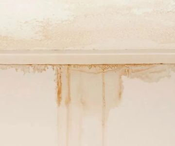 How to Repair Water Damage Around Complete Indoor Interiors: Step-by-Step Restoration Guide