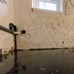 What Is Black Water Damage and Why It Requires Immediate Action