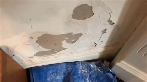 How to Restore Water-Damaged Bathroom Walls Step-by-Step Guide