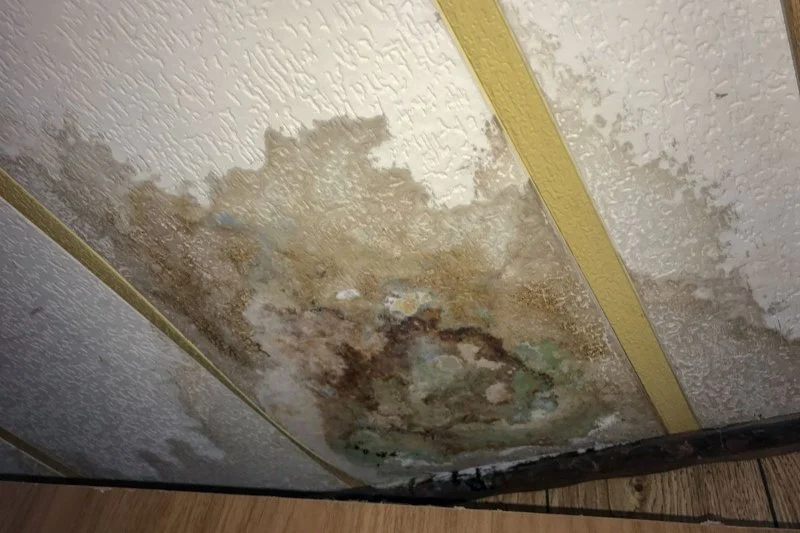 How to Fix Water Damage in Storage Rooms Quickly and Effectively