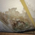 How to Fix Water Damage in Storage Rooms Quickly and Effectively