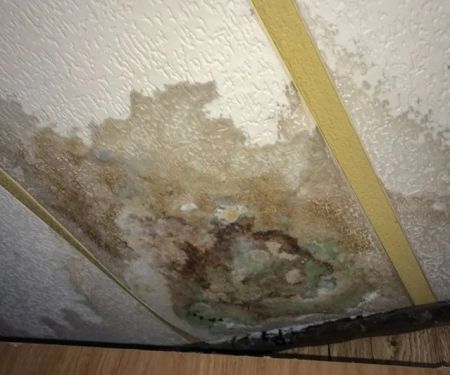 How to Fix Water Damage in Storage Rooms Quickly and Effectively