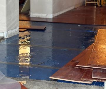 How to Handle Sewage Backup and Contaminated Water Damage Safely