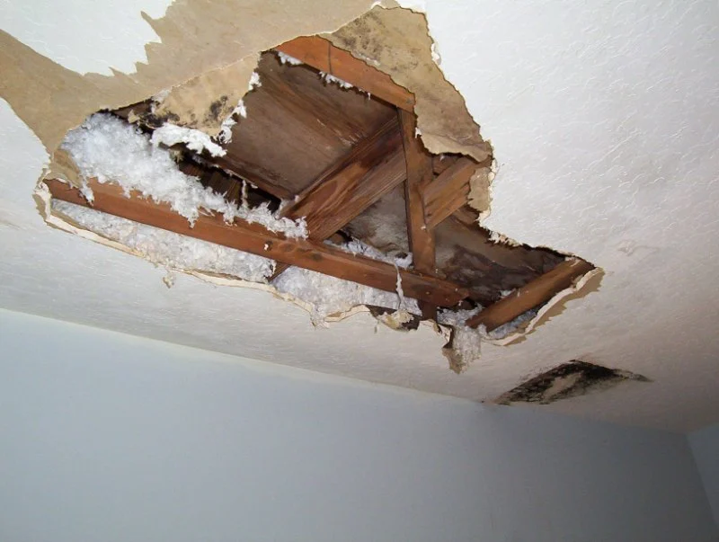 How to Repair Water Damage Around Whole Interior Systems: Complete Home Restoration Guide