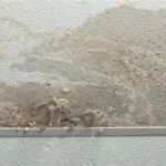 Comprehensive Guide on How to Repair Water Damage Around Total Property Interiors