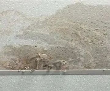 Comprehensive Guide on How to Repair Water Damage Around Total Property Interiors