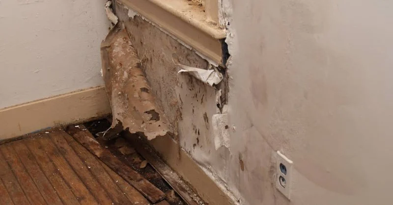 How to Fix Water Damage to Whole Property Interiors