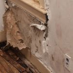 How to Fix Water Damage to Whole Property Interiors