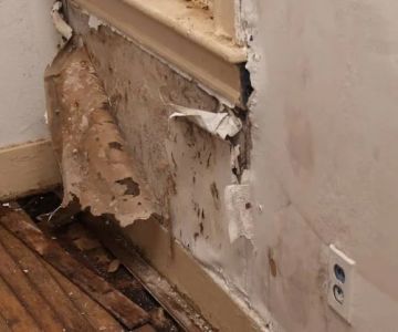 How to Fix Water Damage to Whole Property Interiors