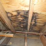 How to Fix Water Damage in Attics from Roof Leaks