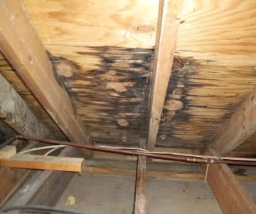 How to Fix Water Damage in Attics from Roof Leaks