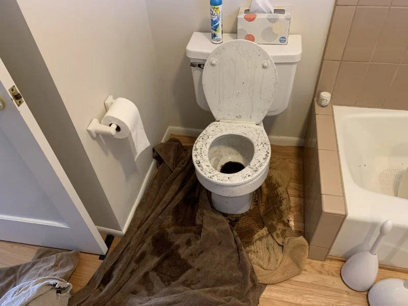What to Do After a Toilet Overflow Causes Water Damage: Home Recovery Guide