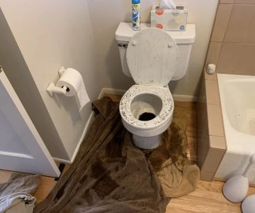 What to Do After a Toilet Overflow Causes Water Damage: Home Recovery Guide