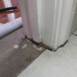 How to Fix Water Damage Around Interior Door Frames Effectively
