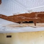 How to Fix Water Damage to Ceiling Beams and Restore Structural Safety