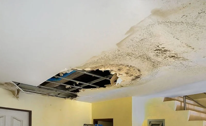 How to Repair Water Damage Around Entire House Interiors: Step-by-Step Guide