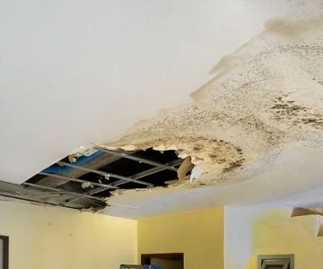 How to Repair Water Damage Around Entire House Interiors: Step-by-Step Guide