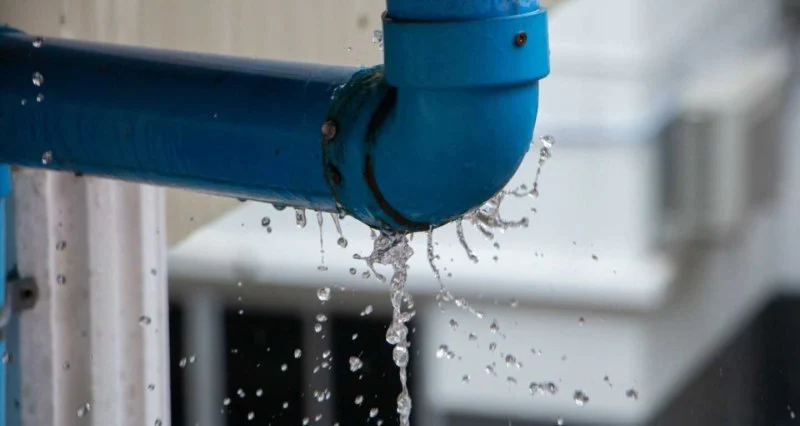 What Are the Health Risks of Untreated Water Damage? Full Guide
