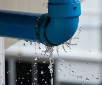 What Are the Health Risks of Untreated Water Damage? Full Guide